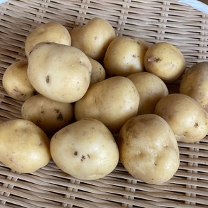なめらかな食感と甘さが美味しい新じゃがいも"とうや"（ 3kg）