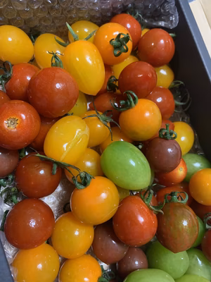 みんなの投稿の画像