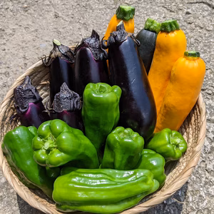【限定5箱】夏野菜カレーセット！（ナス、ズッキーニ、ピーマン）
