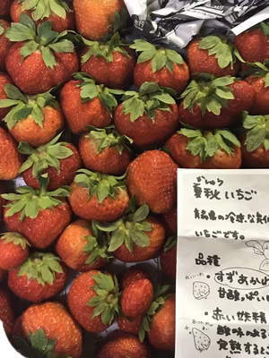 みんなの投稿の画像