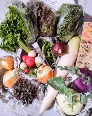 みんなの投稿の画像