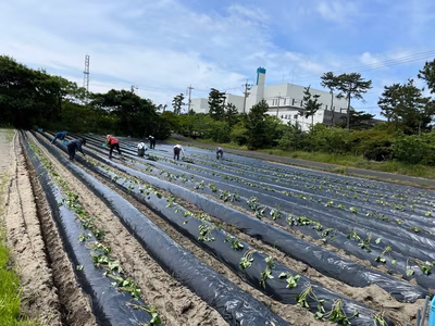 みんなの投稿の画像
