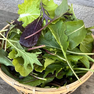 [信州産]サラダミックス