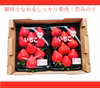 行列ができる直売いちご（とちおとめ・恋みのりレギュラー）完熟収穫＆その日に発送！