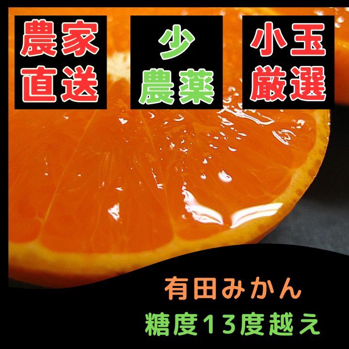 甘い!小粒!小さいサイズ! 小玉のみかん 有田みかん1kg 最高級 秀品 - 果物