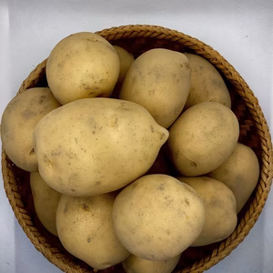 じゃがいも　デジマ　3kg