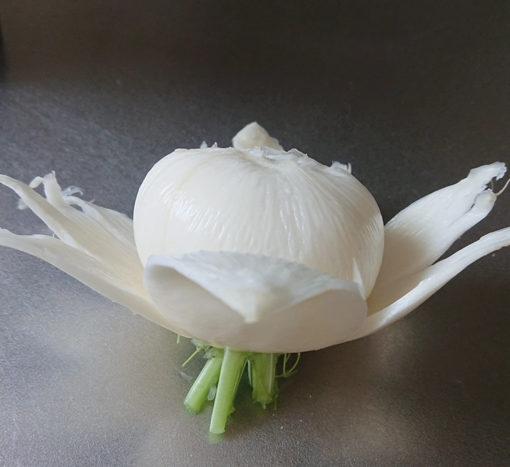 無農薬・無化学肥栽培の朝採り‼️ 甘いフルーツ蕪2種類食べ比べセット‼️
