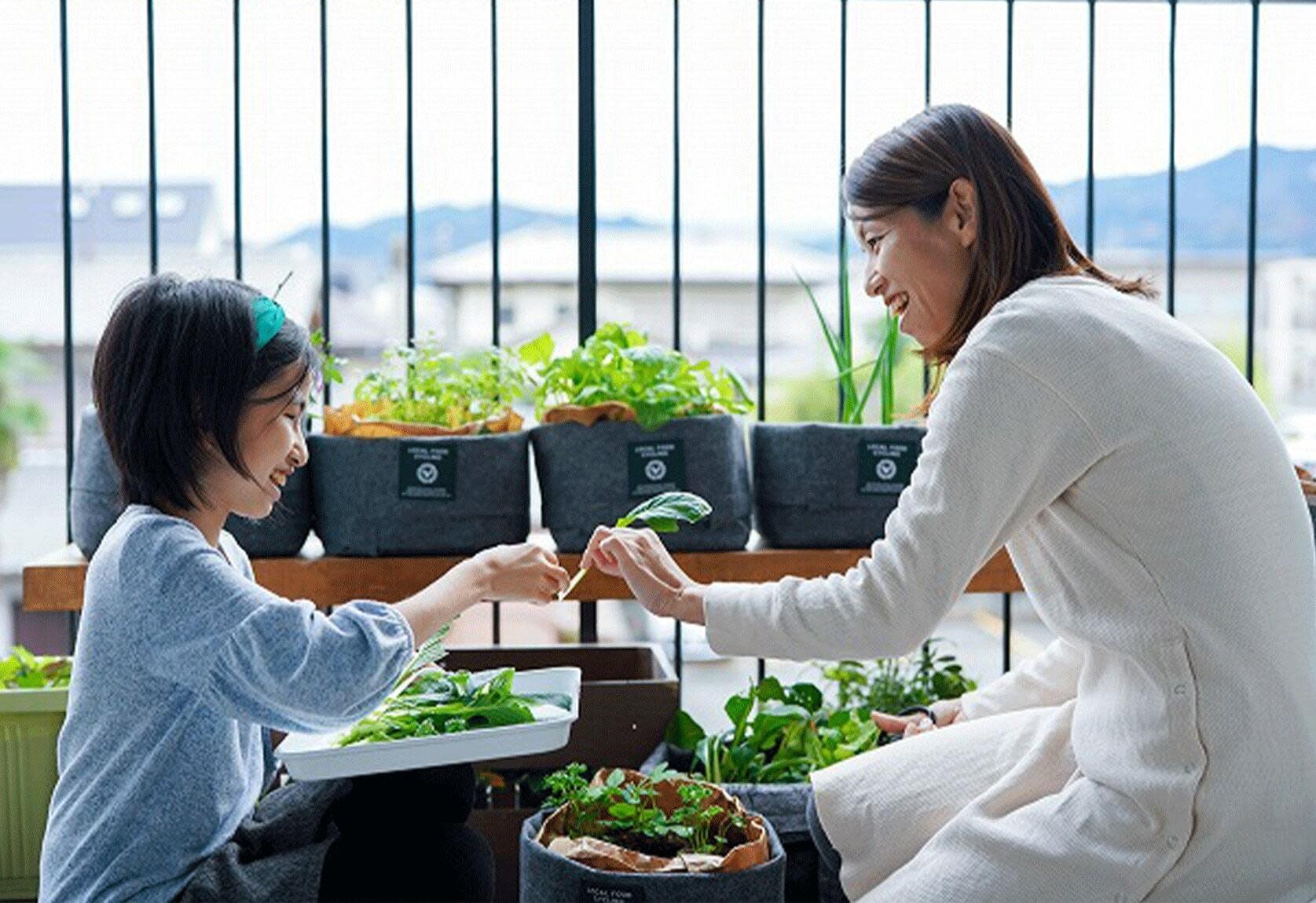 生ごみを土へ還す「コンポスト」で、農家さんと一緒にベランダ菜園始め