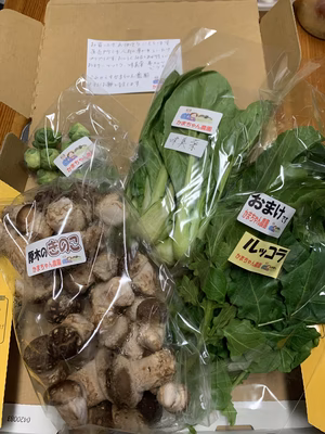 みんなの投稿の画像