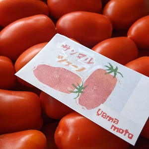 甘みコク、今が旬のサンマルツァーノ！！