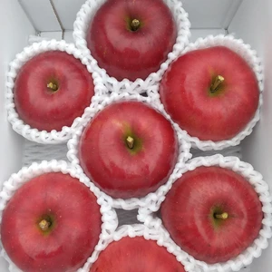 ☆秋の人気者☆【福島のリンゴ紅玉】2キロ　少数販売・売り切れ御免！