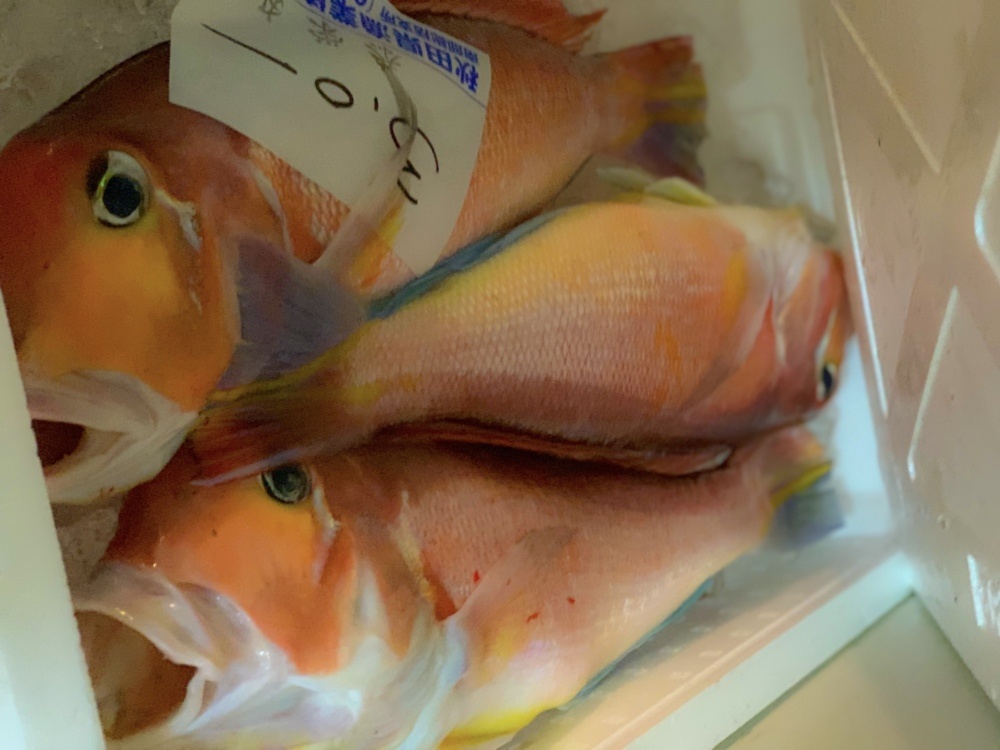 お買い得 高級魚 天然甘鯛box 農家漁師から産地直送の通販 ポケットマルシェ