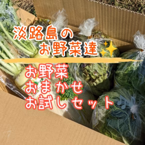 淡路島おまかせお試しセット限定