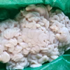 女船長【浜子】の宝石白子500ｇ