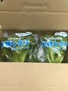 SOS！食べて下さい！和歌山県産 水耕レタスおためし３袋