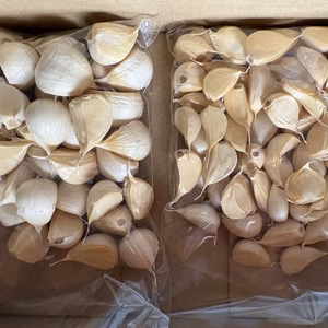 【売り切りセット】こだわり強めな乾燥にんにく