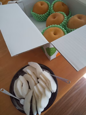 みんなの投稿の画像