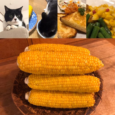 みんなの投稿の画像