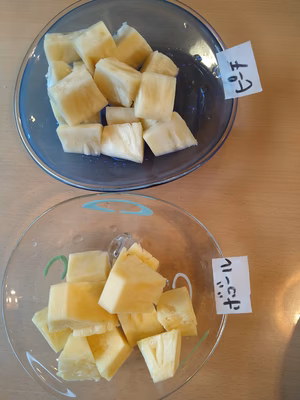 みんなの投稿の画像