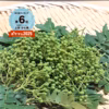 【冷蔵】柑橘の香り　谷奥深ファームの実山椒（生）1袋100g ×3袋～