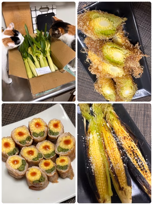 みんなの投稿の画像