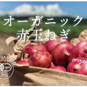 オーガニック赤玉ねぎ【有機JAS認証】サラダ玉ねぎ