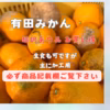 有田みかん　みかん　訳あり品 主に加工品用 サイズ5Sから5Lミックス