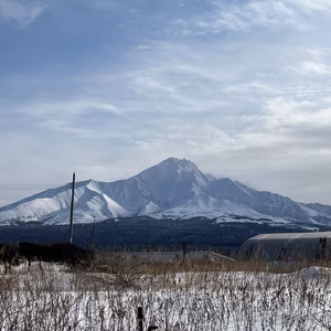 麦チョコ様専用