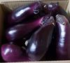 【ゲリラセール‼数量限定‼】【訳アリ】なす・白なす　食べ比べセット♪