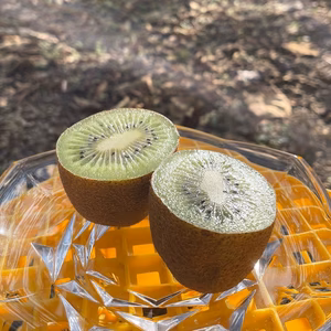 【レシピ付き】腸活に！みつばちキウイ®︎中玉＋干し柿〈農薬・化学肥料不使用〉