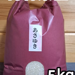 送料無料‼️令和6年青森県産あさゆき5kg