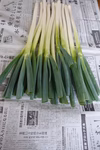 白ネギ　１ｋｇ　　お徳用　減農薬