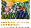 ★今が1番甘い！★野菜セット