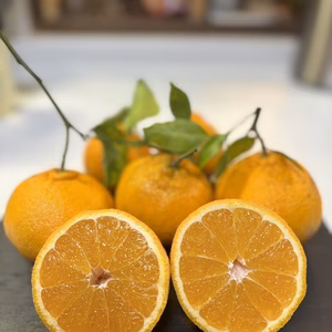 鹿児島の不知火　樹上完熟。お得な家庭用。農薬をギリギリまで抑えました！