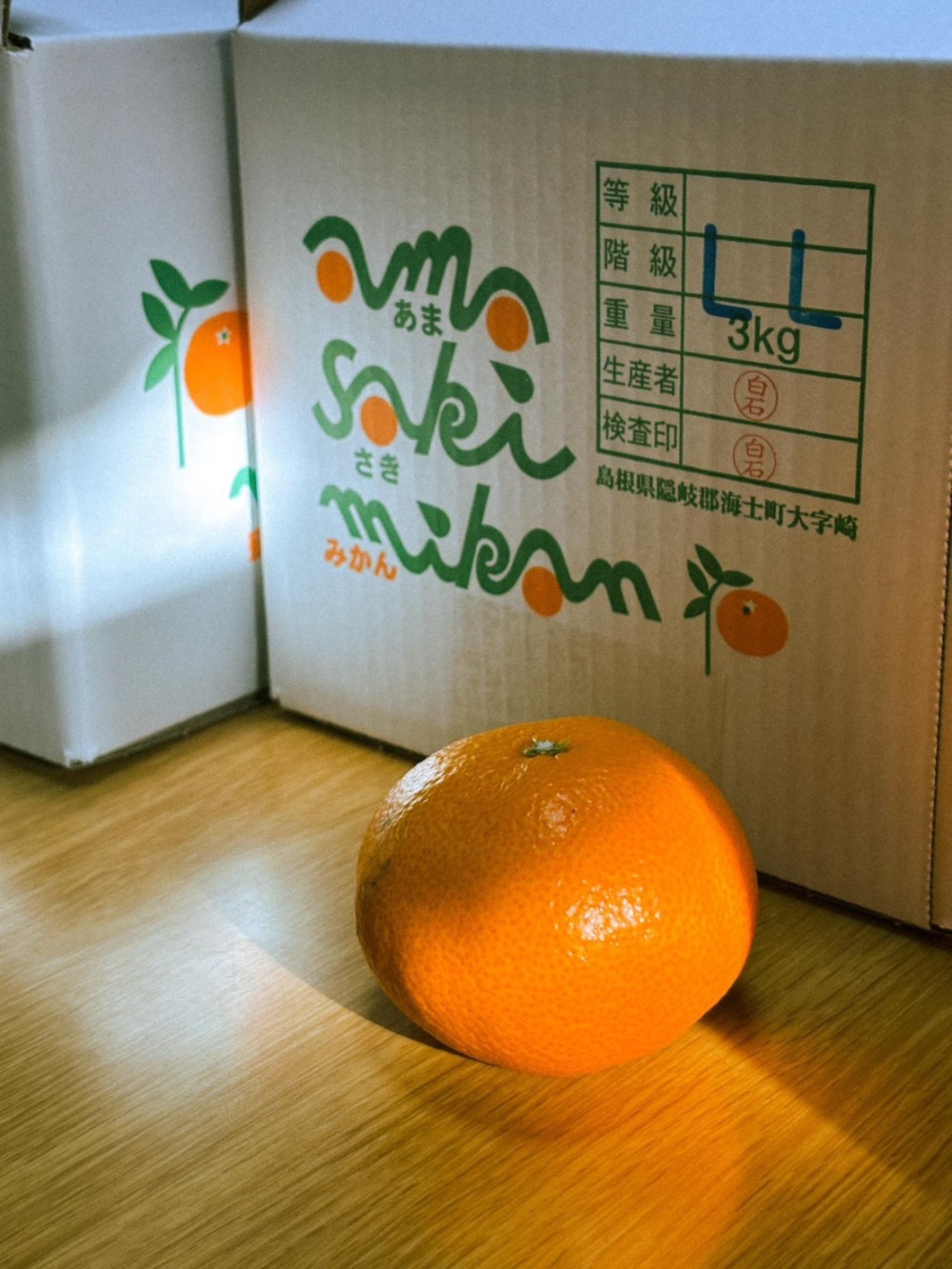 お試しセット】 ノーワックスみかん LLサイズ 家庭用・皮厚め｜3kg