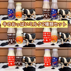 牛のおっぱいミルク2種類セット