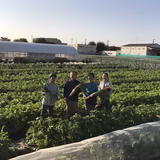 白石秀徳 | 白石農園