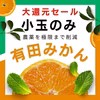 高糖度 小玉 小粒 減農薬 甘い うまい 安いの有田みかん  早生　ss