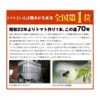 【希少な高濃度フルーツトマト】ソムリエミニトマト　プラチナ１kg