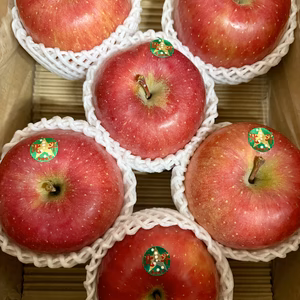 北斗　大玉3キロ【ブラックフライデー！希少品種がお買い得】