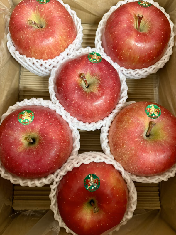 北斗　大玉3キロ【ブラックフライデー！希少品種がお買い得】