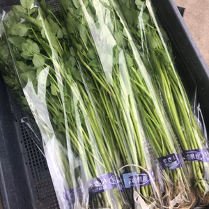 「9月の名取せり」100g束10袋