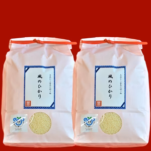 【豊﨑屋　特別月間！】茨城県産コシヒカリ　風のひかり10kg