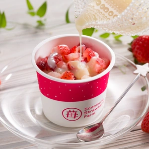 完熟冷凍いちご「ぷち苺」50g×6カップ 練乳付き