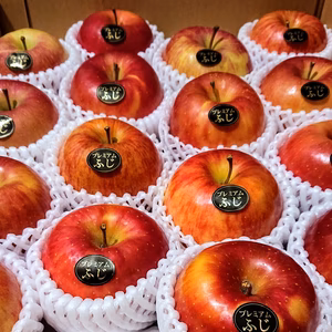 青森りんご 【代々受け継がれた自然の味】蜜入葉取らずプレミアムサンふじ約5kg