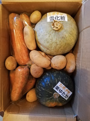 みんなの投稿の画像