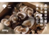 【森も育む循環型農業】食感がまるで違う！原木しいたけ（800g）