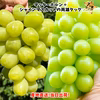 翡翠ぶどうセット！雄宝とシャインマスカット食べ比べ！