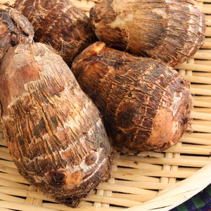 【ねっとり、ホクホク大地の恵みが詰まった里芋】