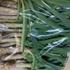 【土付き】農家直送　旬の野菜　新鮮葉ニンニク 350g